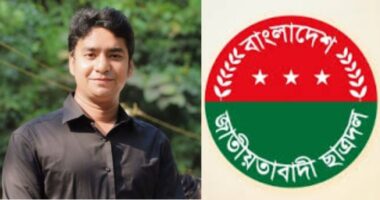 প্রধানমন্ত্রী একই সাথে দলের প্রধান হতে পারবেন না, এমন বিধান মৌলিক অধিকারের লঙ্ঘন: ছাত্রদল সম্পাদক