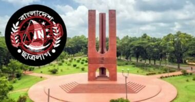 শেখ হাসিনার রায়কে ঘিরে জাবিতে নাশকতার প্রস্তুতি নিষিদ্ধ ছাত্রলীগের