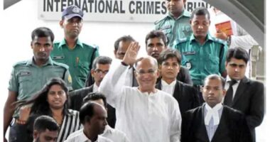 ‘জজ সাহেব! ট্রাইব্যুনাল যেন চালু থাকে, হাসিনার বিচারও একদিন হবে’: সা. কা. চৌধুরী