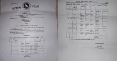জুলাই যোদ্ধা তালিকা থেকে নেত্রকোনায় ২০জন বাদ
