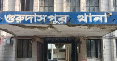 ব্যাডমিন্টনের আলো নিতে গিয়ে বিদ্যুৎস্পৃষ্টে প্রাণ গেল যুবকের