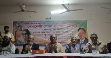 'গণতন্ত্র বাঁচাতে খালেদা জিয়ার বেঁচে থাকা জরুরি' : রিপন