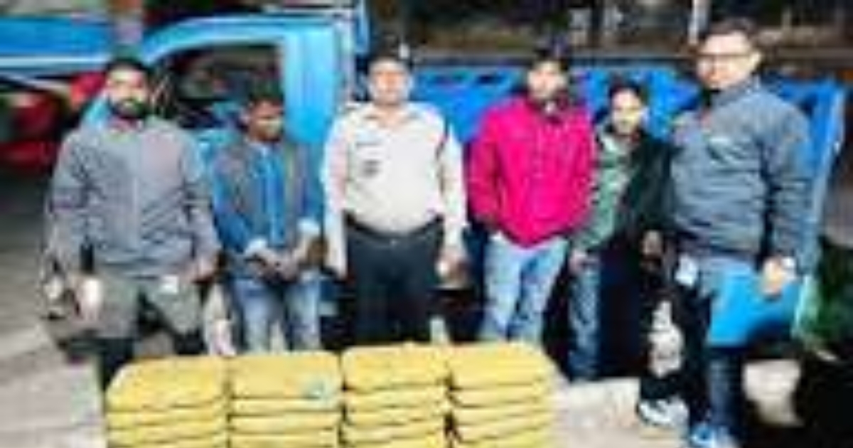ঢাকা–টাঙ্গাইল মহাসড়কে ডিএনসির চেকপোস্ট: ৪৮ কেজি গাঁজাসহ পিকআপ জব্দ