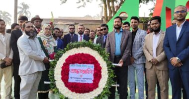 গলাচিপায় বর্ণিল আয়োজনে মহান বিজয় দিবস -২০২৫ পালিত