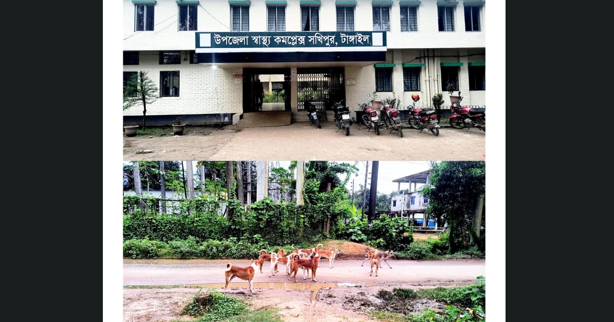 সখীপুরে কুকুরের কামড়ে আহত ৪০ জন, ভ্যাকসিন সংকটে ভোগান্তি