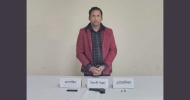 মেহেরপুরে অস্ত্র-গুলিসহ ইউনিয়ন যুবলীগের সাধারণ সম্পাদক আটক