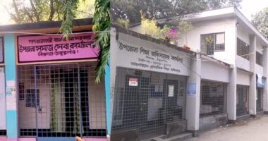 হাদির মৃত্যুতে রাষ্ট্রীয় শোক ঘোষণা করলেও জাতীয় পতাকা উত্তোলন হয়নি অর্ধশতাধিক পীরগঞ্জ প্রতিষ্ঠানে