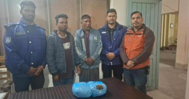 নবীগঞ্জের দুই মাদক ব্যবসায়ী শেরপুর পুলিশের হাতে এক কেজি গাঁজা সহ আটক