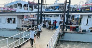 তারেক রহমানকে বরণ করতে ঢাকায় যাবেন ভোলার প্রায় পঞ্চাশ হাজার বিএনপি নেতাকর্মী