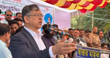 গণতন্ত্রের প্রশ্নে বেগম খালেদা জিয়া কখনো কারো সাথে আপোষ করেননি : সালাহউদ্দিন আহমেদ
