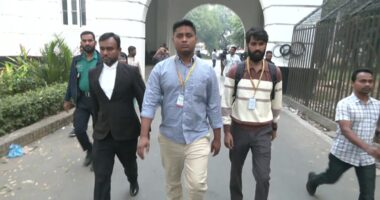 আবু সাঈদ হত্যার সাক্ষ্য দিতে ট্রাইব্যুনালে হাসনাত আব্দুল্লাহ