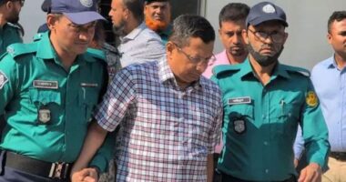 ৫ বছরের কারাদণ্ড থেকে খালাস চেয়ে আপিল করেছেন রাজসাক্ষী মামুন