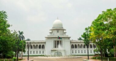 অন্তর্বর্তী সরকারের শপথ বৈধ: আপিল বিভাগ