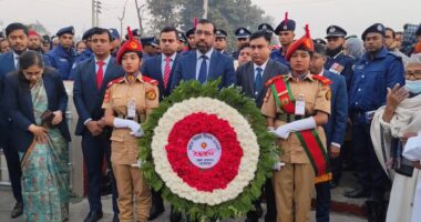 মেহেরপুরে যথাযোগ্য মর্যাদায় মহান বিজয় দিবস উদযাপন