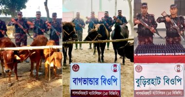 লালমনিরহাটে বিজিবি ৭ লক্ষাধিক টাকার গরু ও মাদক জব্দ , আটক ৩