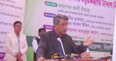গণভোটে ‘হ্যাঁ’ জয়ী হলে আর কখনও রাতের ভোট হবে না : আলী রীয়াজ