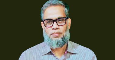 নিরাপত্তা শঙ্কায় মুন্সিগঞ্জ-৩ আসনে বিএনপি প্রার্থীর গানম্যান চেয়ে আবেদন