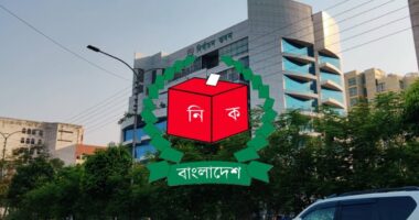 আজ প্রার্থীদের মধ্যে প্রতীক বরাদ্দ, কাল থেকে প্রচারণা শুরু