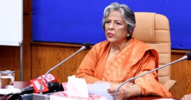গণভোটে ‘হ্যাঁ’ মানে জনগণের হাতে রাষ্ট্রের মালিকানা ফিরিয়ে দেওয়া : উপদেষ্টা শারমীন