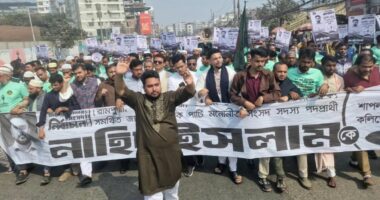 ভয় পেয়ে একটি বড় দল আতঙ্ক ছড়াচ্ছে : নাহিদ ইসলাম