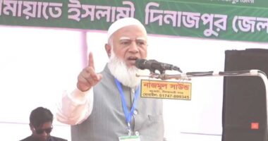 কেউ কেউ বসন্তকালে আইসা কুহু কুহু ডাক শুরু করে : জামায়াতের আমির