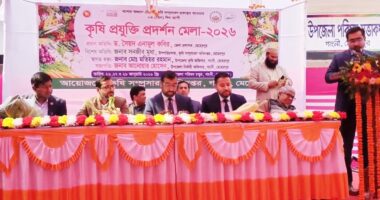 মেহেরপুরের গাংনীতে কৃষি প্রযুক্তি মেলার উদ্বোধন