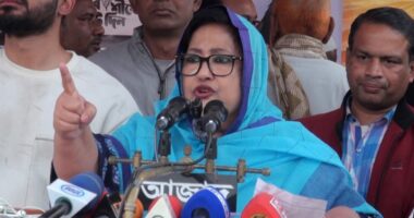 মা-বোনেরা ঝাঁটা, পুরুষ লোকের ইমাম নিয়ে ভোটকেন্দ্রে যাবেন, সুষ্ঠু ভোট হলেই বোঝা যাবে কার বিজয় : পাপিয়া