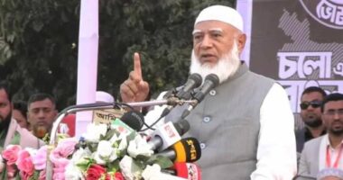 বেকার ভাতা দিয়ে অপমান নয়, চাকরি দিয়ে সম্মানিত করা হবে যুবকদের : ডা. শফিকুর রহমান
