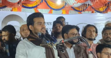 শেখ হাসিনার মত স্বৈরাচার দেখতে না চাইলে গণভোটে ‘হ্যাঁ’ ভোট দিন : আসিফ মাহমুদ