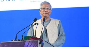 জালিয়াতিতে বাংলাদেশ বিশ্বচ্যাম্পিয়ন : প্রধান উপদেষ্টা