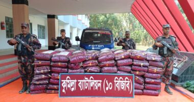 কুমিল্লায় ১০ বিজিবির অভিযানে পিকআপসহ বিপুল পরিমাণ ভারতীয় পণ্য জব্দ
