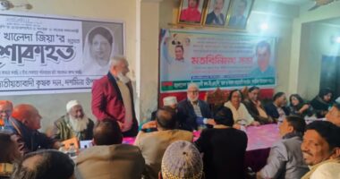 পটুয়াখালী --৩ আসনে নুরের পক্ষে কাজ করার নির্দেশ, দশমিনায় বিএনপিতে উত্তেজনা
