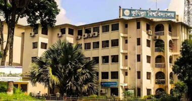 কুমিল্লা বিশ্ববিদ্যালয়ে প্রথমবারের মতো পিএইচডির সুপারিশ পেলেন ১৩ শিক্ষার্থী