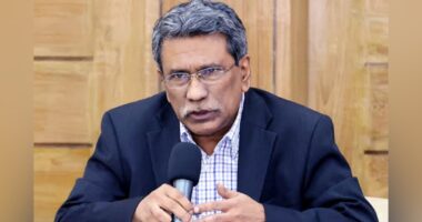 গণভোটে ‘হ্যাঁ’ জয়ী হলে বাংলাদেশে হাসিনার মতো ফ্যাসিস্ট তৈরি হবে না : আলী রীয়াজ