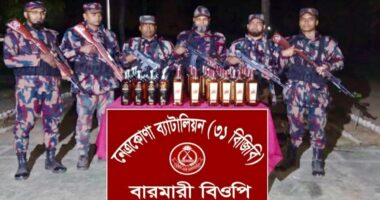 দুর্গাপুর সীমান্তে বিজিবির অভিযানে ৬০ বোতল বিদেশি মদ জব্দ