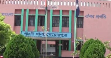 গাংনীতে সাড়ে ৫শ কেজি ভারতীয় জিরাসহ আলগামন চালক গ্রেপ্তার