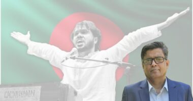 ওসমান হাদি হ/ত্যাকাণ্ডের তদন্তে জাতিসংঘকে প্রস্তাব দেবে অন্তর্বর্তী সরকার: প্রেস সচিব
