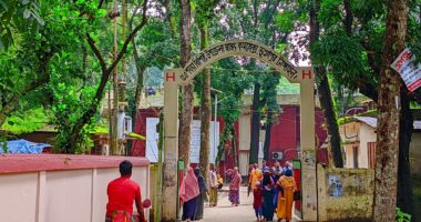ভূঞাপুরে কুকুরের কামড়ে বাড়ছে আক্রান্তের সংখ্যা, ভ্যাকসিন সংকটে ঝুঁকিতে জনস্বাস্থ্য