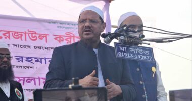 জামায়াত ক্ষমতায় গেলে ইসলাম অনুযায়ী দেশ চালাবে না : চরমোনাই পীর