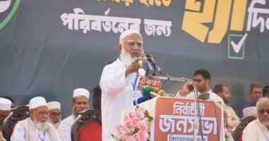 চোরাগোপ্তা পথে কেউ ক্ষমতায় যেতে পারবে না : জামায়াত আমির