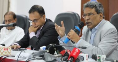 অন্তর্বর্তী সরকার নির্বাচিত নয়, তাই গণভোটে ‘হ্যাঁ’ এর পক্ষে প্রচার করতে পারবে : আলী রীয়াজ