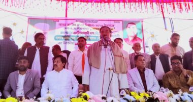 শেখ হাসিনা চাচ্ছে না বাংলাদেশে সুষ্ঠু নির্বাচন হোক : মেজর হাফিজ