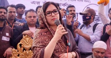 নির্বাচনে ভোটাররা মার্কা দেখে নয়, প্রার্থী দেখে ভোট দেবেন : রুমিন ফারহানা