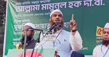 ব্যালট বিপ্লবের মাধ্যমে রাজনীতি থেকে সন্ত্রাস-দুর্নীতি বিদায় করা হবে : মামুনুল হক