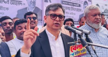 জামায়াত আমির স্বাধীনতার বিকল্প ইতিহাস বর্ণনা করা শুরু করেছেন : সালাহউদ্দিন আহমদ
