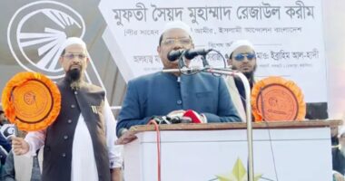 জামায়াতের মতো মিথ্যাবাদী দুনিয়ায় দ্বিতীয়টি আর নেই : চরমোনাই পীর