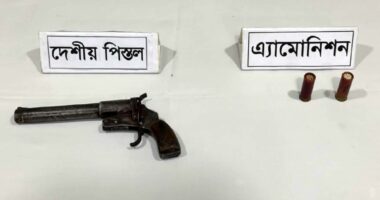 গাংনীতে পরিত্যক্ত অবস্থায় পিস্তল ও গুলি উদ্ধার