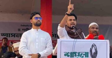 'একটি দল দাঁতে ধার দিয়ে শকুনের মতো বসে আছে, ১২ তারিখের পরেই ঝাঁপিয়ে পড়বে’: আসিফ মাহমুদ