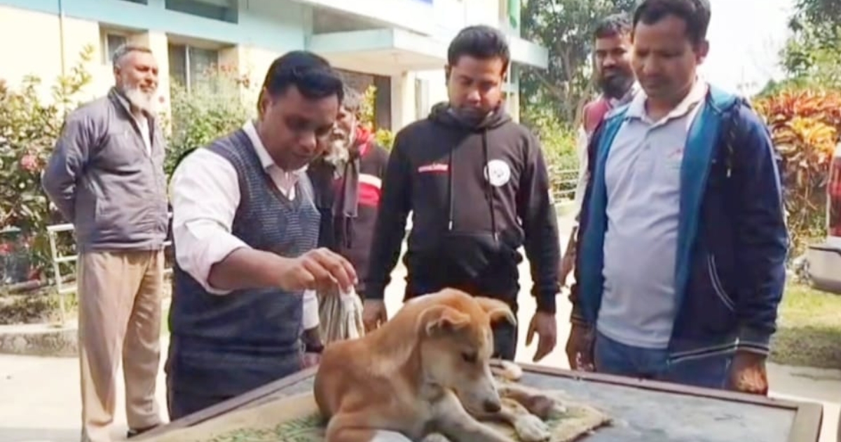নলডাঙ্গায় অসুস্থ কুকুরের পাশে”বিবিসিএফ”