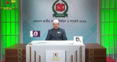 ভোট কেবল ইহকালীন বিষয় নয়, এটি পরকালীন বিষয়ও : চরমোনাই পীর